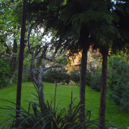 gradina